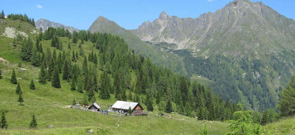 Biobauernhof Tonimoertl Vila Mariapfarr Exterior foto