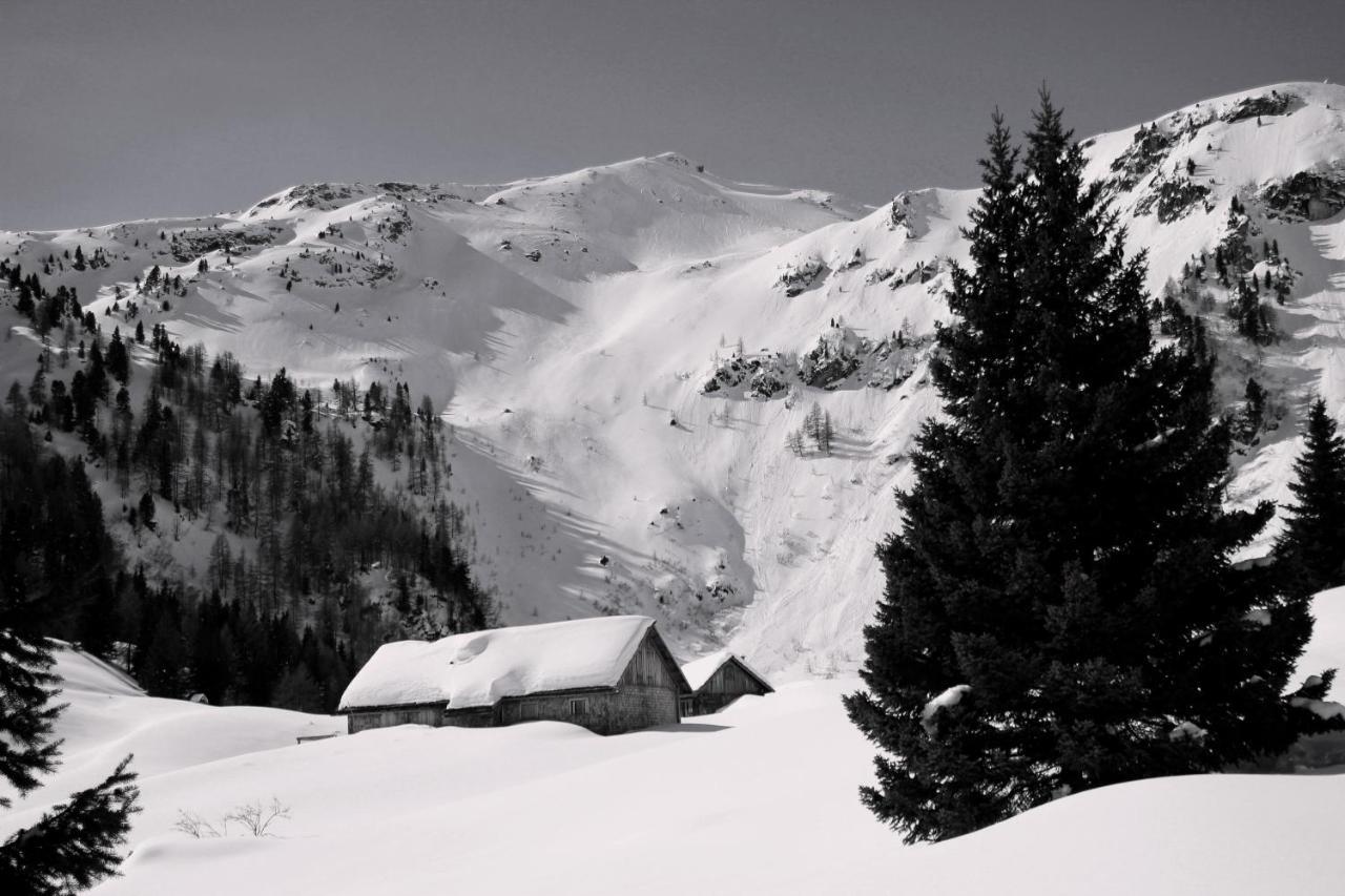 Biobauernhof Tonimoertl Vila Mariapfarr Exterior foto